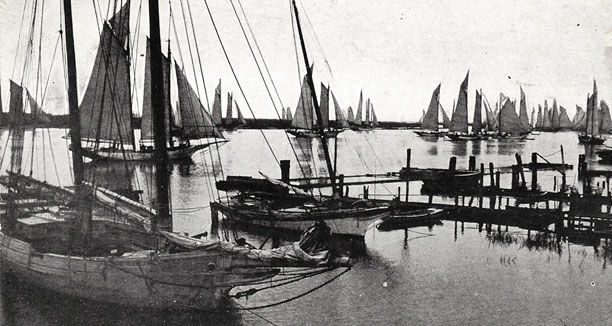 Delaware Bay Oyster Farming